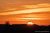 Abendstimmung am Guggi - 008