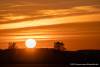 Abendstimmung am Guggi - 006