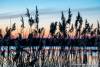 Abendstimmung am Guggi - 020