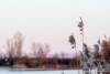 Abendstimmung am Guggi - 005
