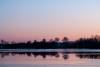 Abendstimmung am Guggi - 016