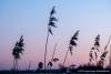 Abendstimmung am Guggi - 013